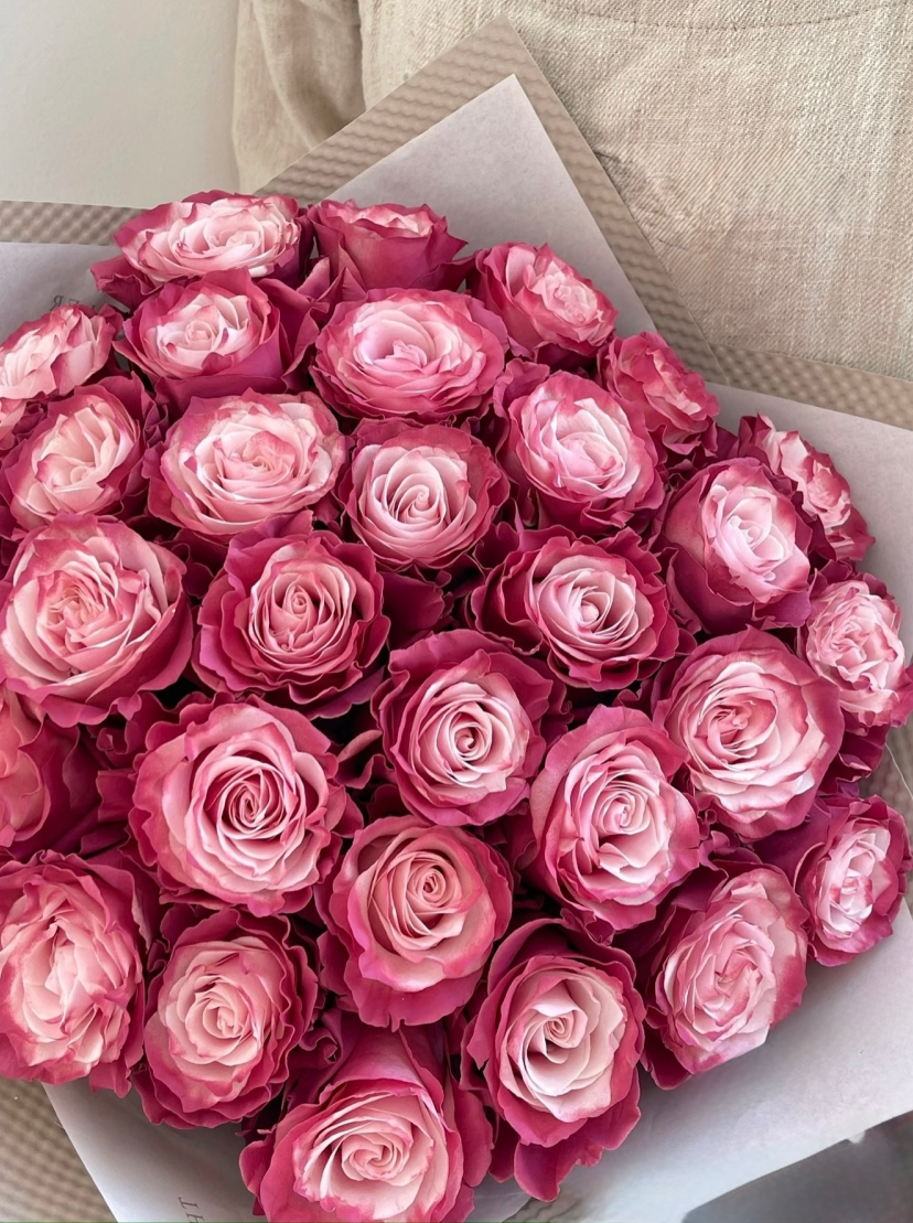 V Day ❤️Ecuador Tinted Rose -- Pink