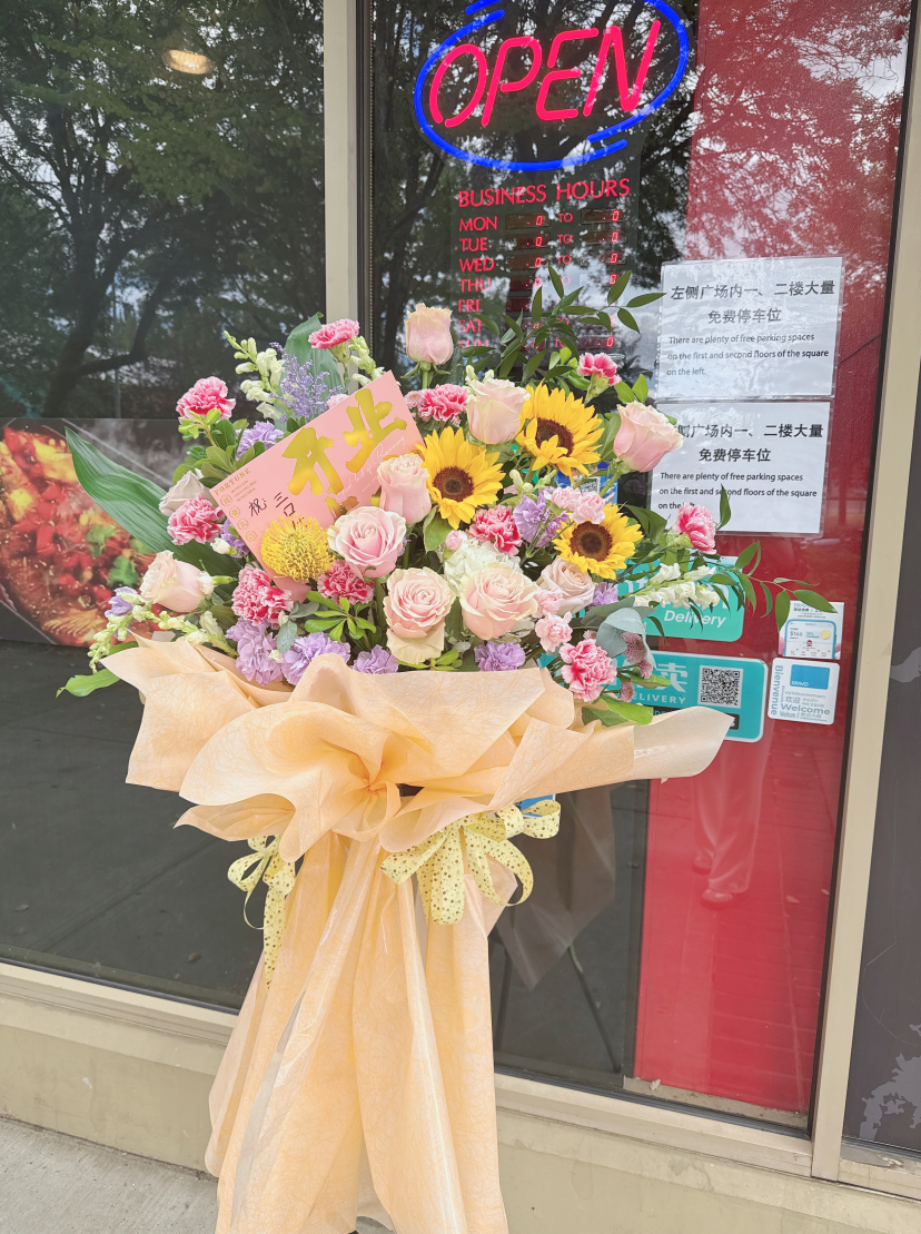 Grand Opening--Radiant Beginnings