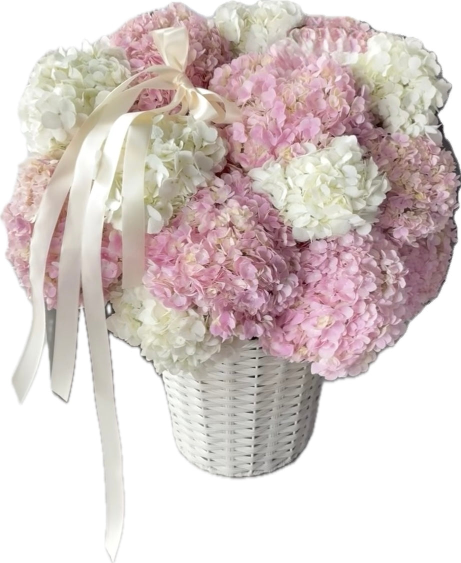 V Day ❤️Hydrangea Hug Bucket