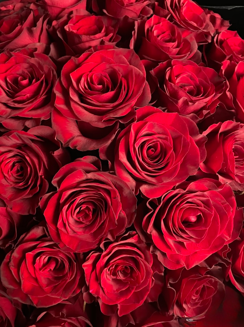Red Rose Bouquet  (21  to 99 roses)