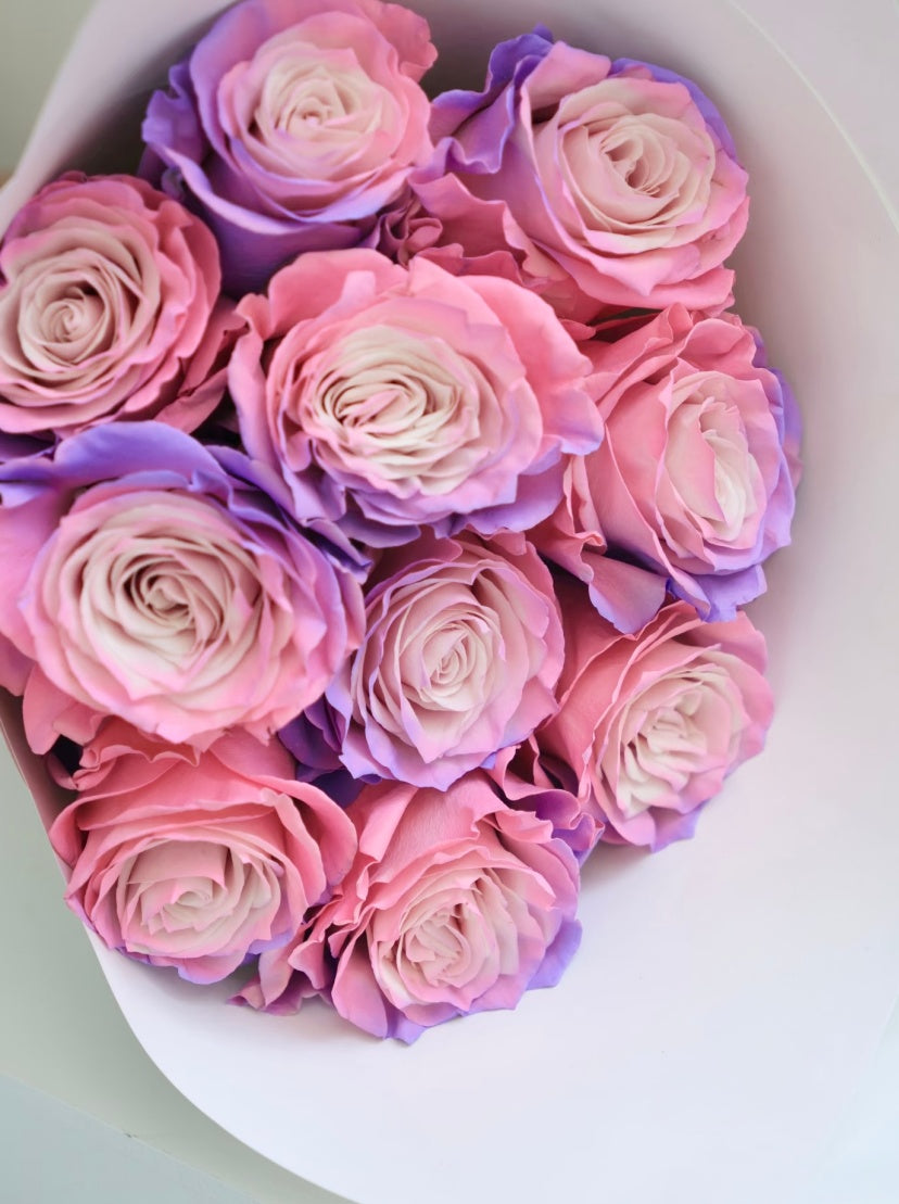 V Day ❤️ Ecuador Tinted Rose --Sweet love