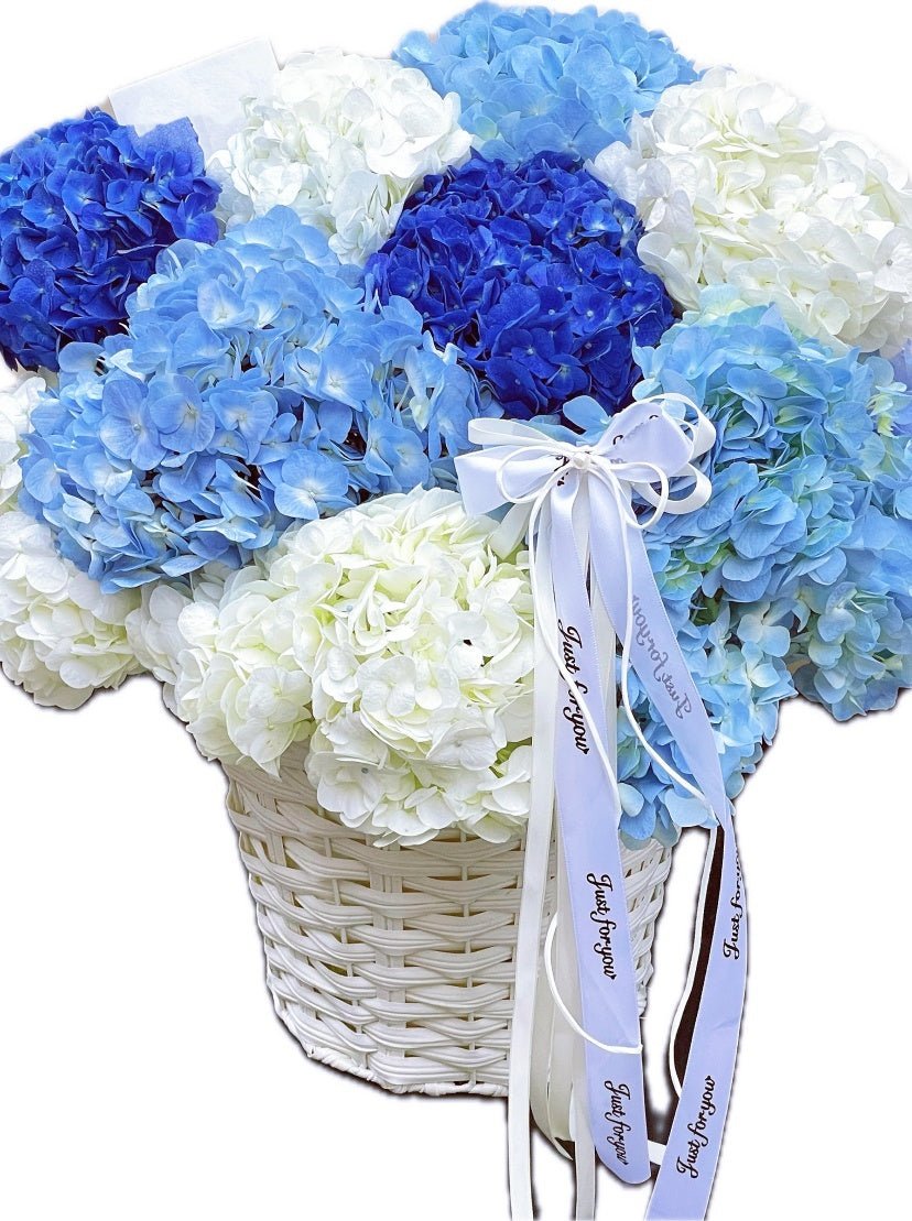 V Day ❤️Hydrangea Hug Bucket